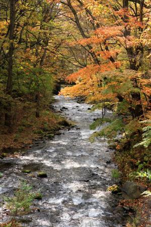 焼き栗のアイス×ほっこり赤ワイン。軽井沢ブレストンコートで晩秋をワインとスイーツのペアリングで楽しむ