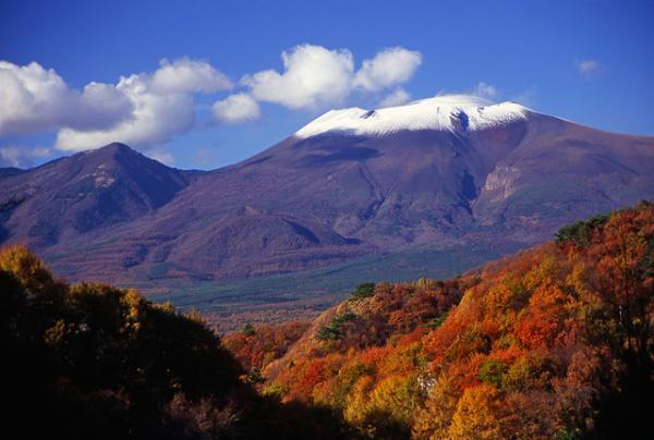 焼き栗のアイス×ほっこり赤ワイン。軽井沢ブレストンコートで晩秋をワインとスイーツのペアリングで楽しむ
