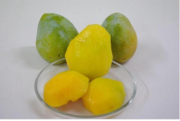 多種のぶどう、“幻の梨”も食べられる!?旬の果実を楽しむ「フルーツ収穫祭」が今秋も開催！