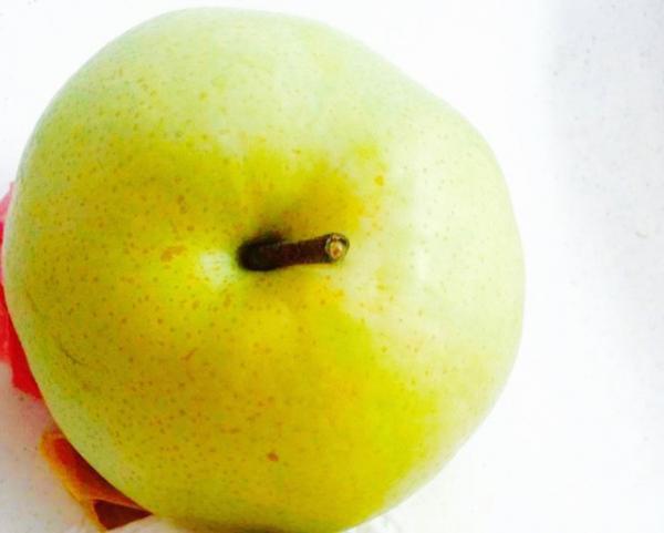 多種のぶどう、“幻の梨”も食べられる!?旬の果実を楽しむ「フルーツ収穫祭」が今秋も開催！