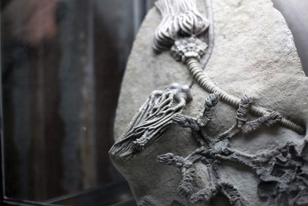 2年振りの開館、東京都写真美術館が大規模リニューアル。記念展「杉本博司 ロスト・ヒューマン」開催中【Report】