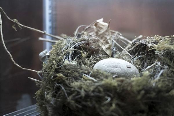 2年振りの開館、東京都写真美術館が大規模リニューアル。記念展「杉本博司 ロスト・ヒューマン」開催中【Report】