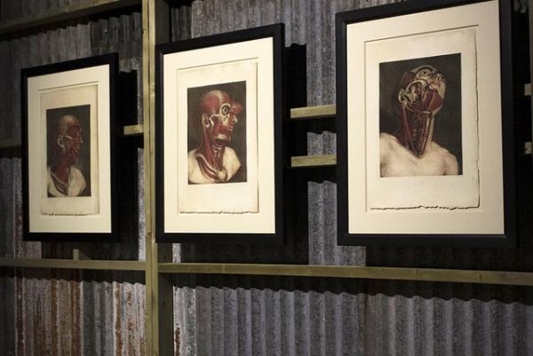 2年振りの開館、東京都写真美術館が大規模リニューアル。記念展「杉本博司 ロスト・ヒューマン」開催中【Report】