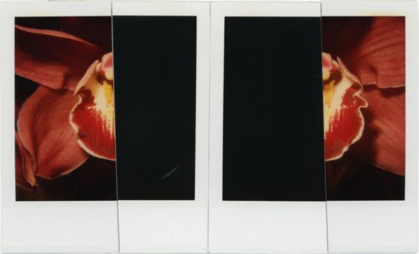 荒木経惟の個展「淫秋」が原宿で開催。“般若心經”を書でしたためた最新作を初展観