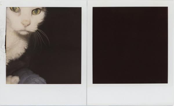 荒木経惟の個展「淫秋」が原宿で開催。“般若心經”を書でしたためた最新作を初展観