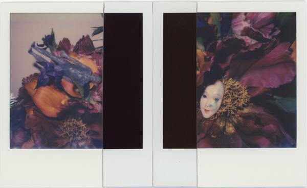 荒木経惟の個展「淫秋」が原宿で開催。“般若心經”を書でしたためた最新作を初展観