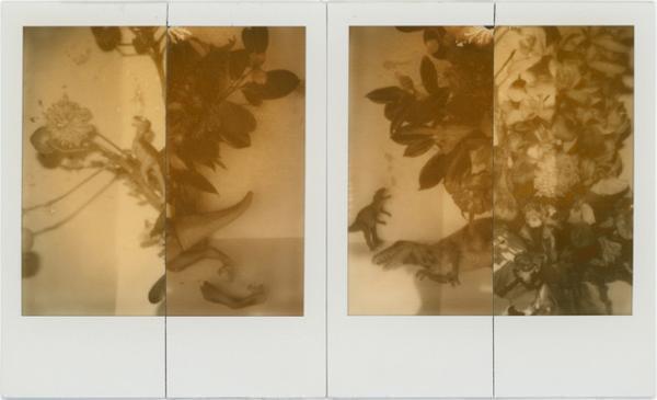 荒木経惟の個展「淫秋」が原宿で開催。“般若心經”を書でしたためた最新作を初展観