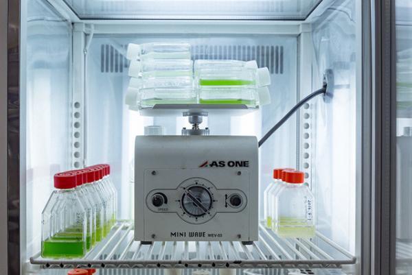 FabCafeにバイオラボがオープン。音楽を組み込んだ遺伝子組換え微生物作品を展示