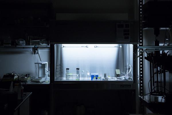 FabCafeにバイオラボがオープン。音楽を組み込んだ遺伝子組換え微生物作品を展示