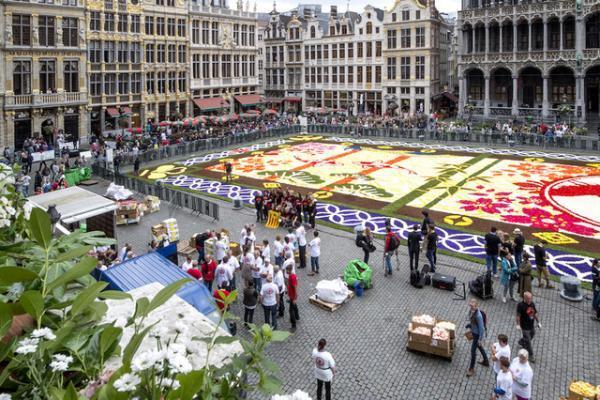 花で敷き詰められた巨大カーペットが広場に出現！ベルギーと日本の友情を祝う