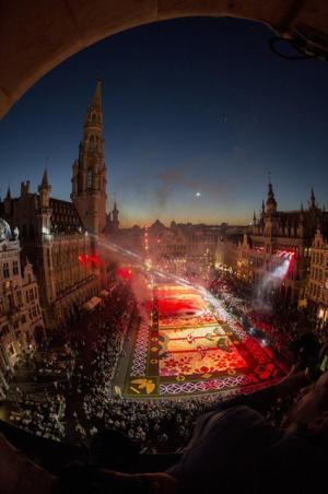 花で敷き詰められた巨大カーペットが広場に出現！ベルギーと日本の友情を祝う