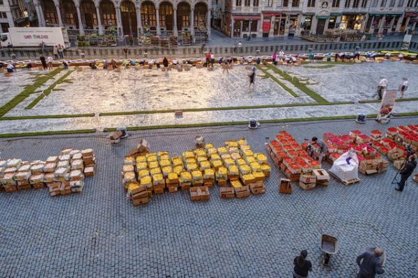 花で敷き詰められた巨大カーペットが広場に出現！ベルギーと日本の友情を祝う