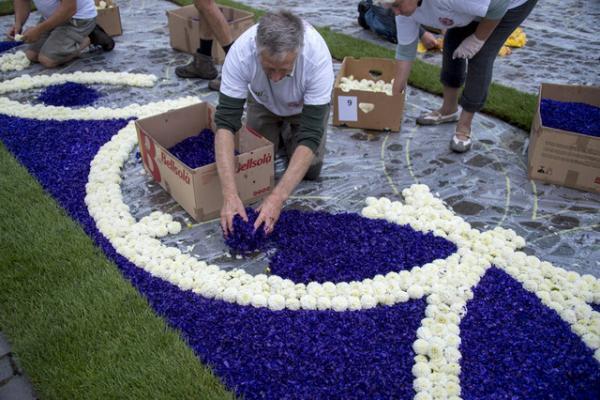 花で敷き詰められた巨大カーペットが広場に出現！ベルギーと日本の友情を祝う