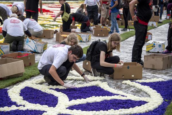 花で敷き詰められた巨大カーペットが広場に出現！ベルギーと日本の友情を祝う