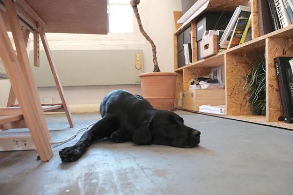 ロンドンの若きガーデナー兄弟が語るランドスケープデザイン【Our Favorite LONDON vol.3】