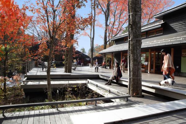 軽井沢の自然の中で“手紙”をしたためる。文具店カキモリによる「珈琲と、書きもの」イベント