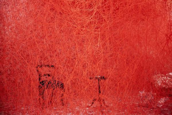 グッチ、4人のアーティストが“4つの部屋”で表現するアートプロジェクト。真鍋大度、塩田千春らが参加