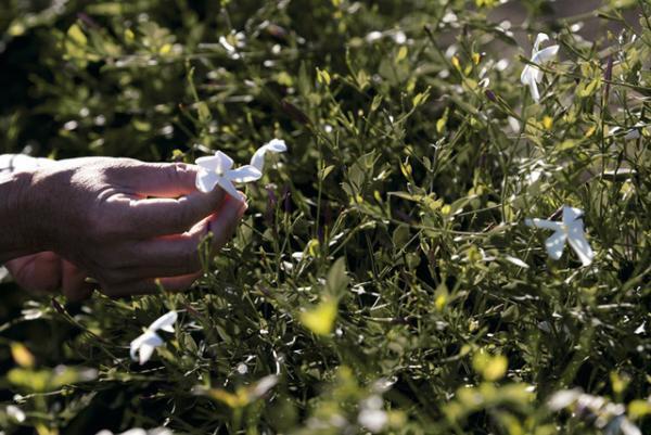 ディオール、シャーリーズ・セロンを起用したフレグランス「ジャドール」の新フィルムを世界同時公開