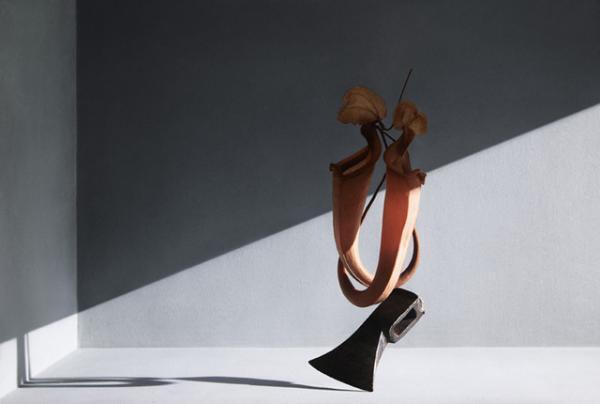 イッセイ ミヤケの広告写真なども手掛けるフォトグラファー半沢健が2年振りの写真展を開催