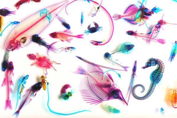 アートから食まで、“保存”をテーマにした体験型企画展「保存展」が池袋パルコで開催！