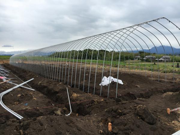 シンガポール発サラダ専門店サラダストップ！が日本初上陸。国産野菜で自分だけのオリジナルサラダを