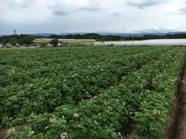 シンガポール発サラダ専門店サラダストップ！が日本初上陸。国産野菜で自分だけのオリジナルサラダを