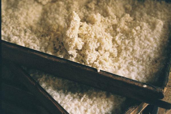 全国から19蔵、選りすぐりの日本酒が青山に。「アオヤマ サケ フリー」開催