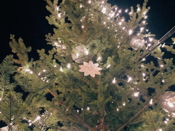 横浜赤レンガ倉庫のクリスマス マーケット！今年は雪の演出でドイツのホワイトクリスマスを再現