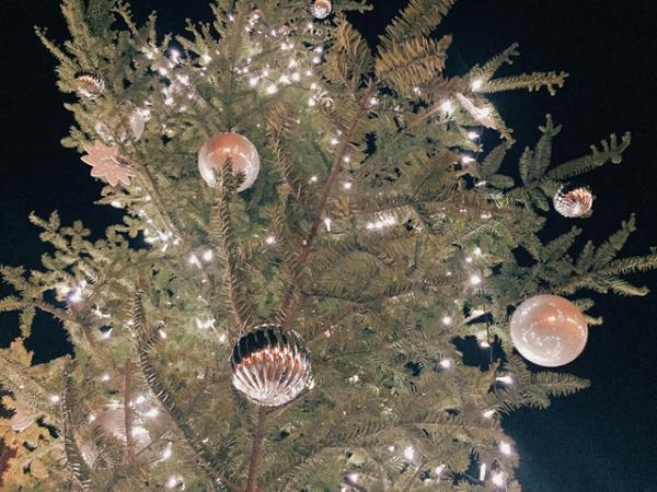 横浜赤レンガ倉庫のクリスマス マーケット！今年は雪の演出でドイツのホワイトクリスマスを再現