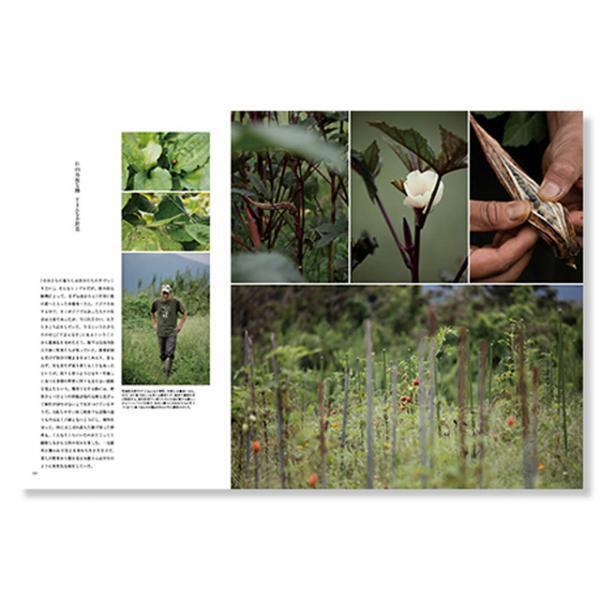 青山ファーマーズマーケットから生まれたメディア『NORAH』の最新号は、誕生の起源“種”にフォーカス