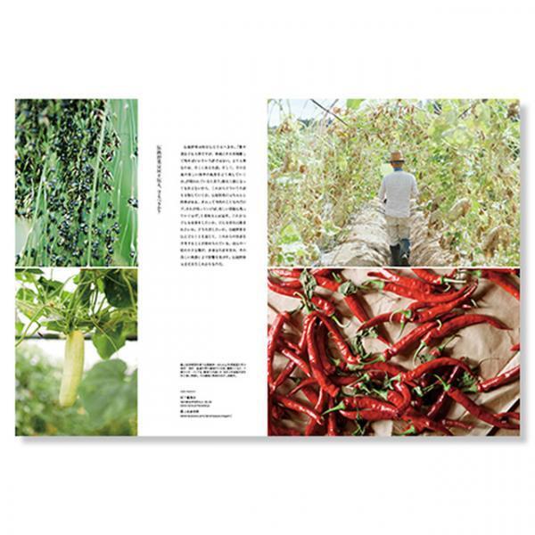 青山ファーマーズマーケットから生まれたメディア『NORAH』の最新号は、誕生の起源“種”にフォーカス