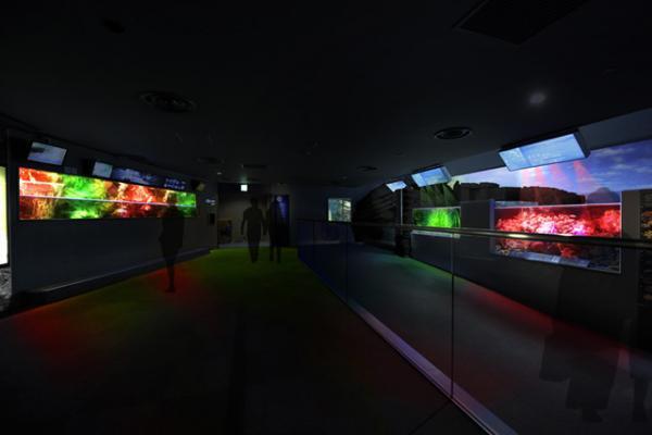 “えのすい”「ナイトワンダーアクアリウム 2016」のクリスマス、視界いっぱいに広がる聖夜の海