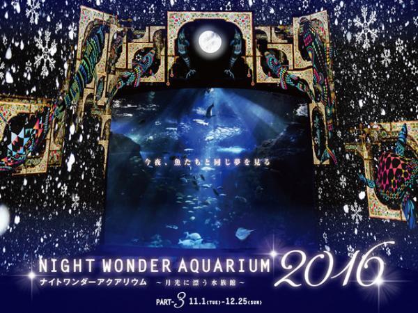 “えのすい”「ナイトワンダーアクアリウム 2016」のクリスマス、視界いっぱいに広がる聖夜の海