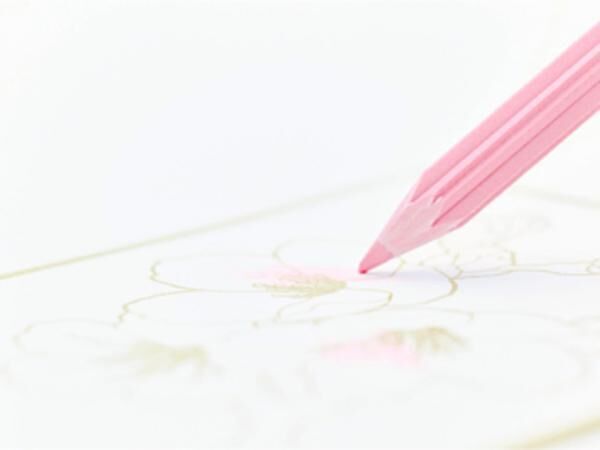 日本を代表する伝統的な草花を断面の形と色で表現した「花色鉛筆」