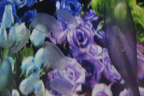すみだ水族館×蜷川実花、“クラゲ万華鏡トンネル”を通り抜け幻想的な世界を体感