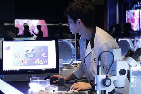 すみだ水族館×蜷川実花、“クラゲ万華鏡トンネル”を通り抜け幻想的な世界を体感