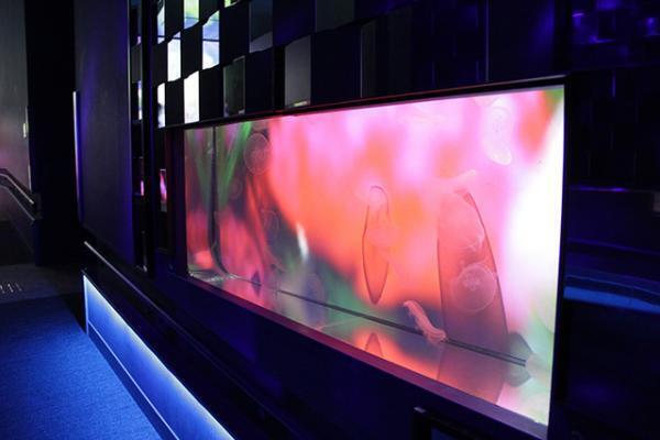 すみだ水族館×蜷川実花、“クラゲ万華鏡トンネル”を通り抜け幻想的な世界を体感