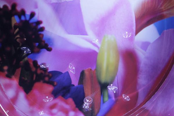 すみだ水族館×蜷川実花、“クラゲ万華鏡トンネル”を通り抜け幻想的な世界を体感