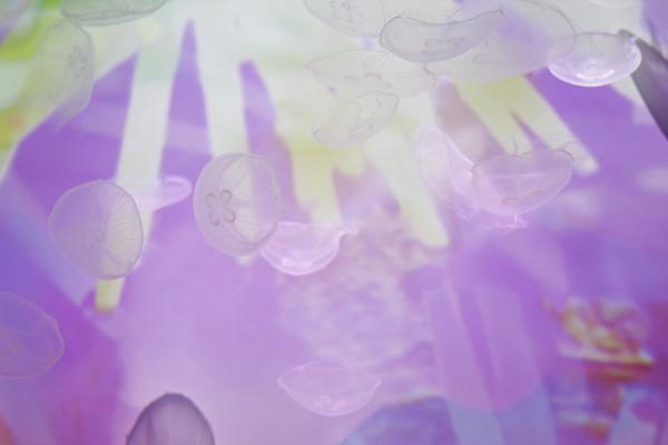 すみだ水族館×蜷川実花、“クラゲ万華鏡トンネル”を通り抜け幻想的な世界を体感