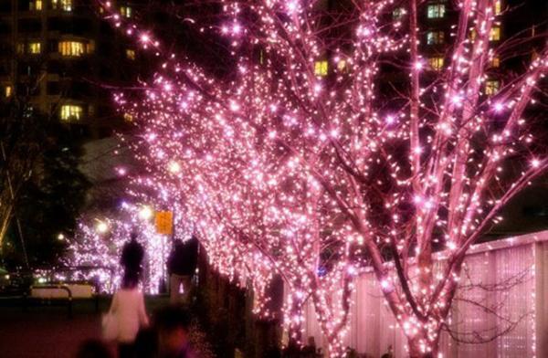 今年の目黒川イルミネーションは桜色！点灯区間延長と約42万個のLEDで“冬の桜”を演出
