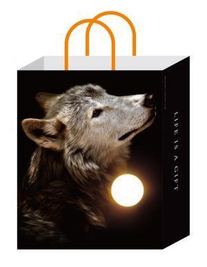 三越伊勢丹グループ、北海道士別市民800名以上が参加したPRムービー「冬至祭」公開