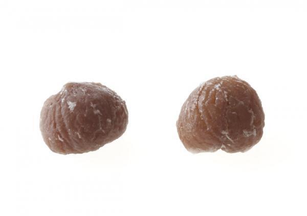 ジャン＝ポール・エヴァンがクリスマスに向けた「アドベント コレクション」を発売