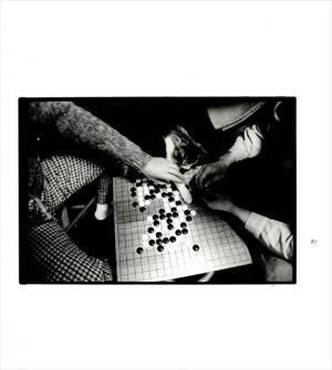 深瀬昌久の愛猫サスケを記録、抱きしめたくなる装丁の写真集【NADiffオススメBOOK】