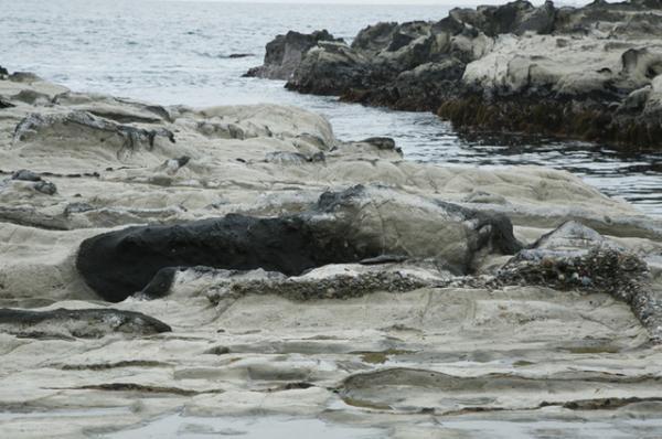 DUNEプロデュースのセレクトショップ・ニド ア ドゥに、イエンスのポッアップがオープン