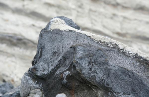 DUNEプロデュースのセレクトショップ・ニド ア ドゥに、イエンスのポッアップがオープン