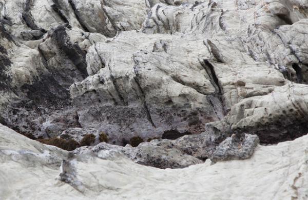 DUNEプロデュースのセレクトショップ・ニド ア ドゥに、イエンスのポッアップがオープン