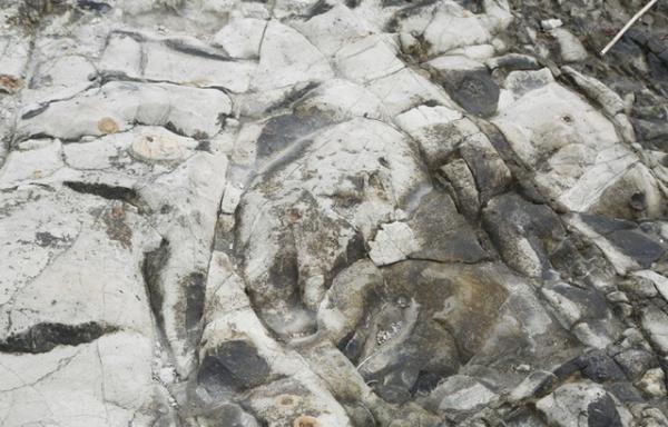 DUNEプロデュースのセレクトショップ・ニド ア ドゥに、イエンスのポッアップがオープン