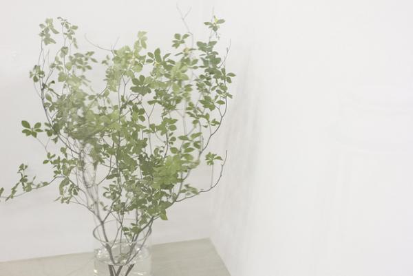 【HOHO#002 Report】いちじくを心ゆくまで愉しむ、お菓子研究家・福田里香さんのワークショップがOFSで開催されました！