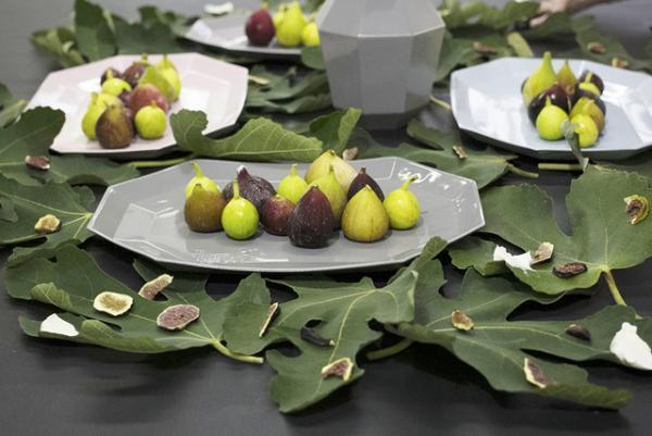 【HOHO#002 Report】いちじくを心ゆくまで愉しむ、お菓子研究家・福田里香さんのワークショップがOFSで開催されました！