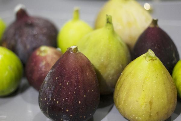 【HOHO#002 Report】いちじくを心ゆくまで愉しむ、お菓子研究家・福田里香さんのワークショップがOFSで開催されました！